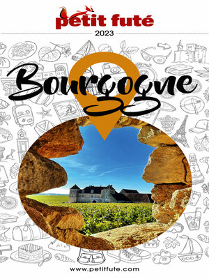 cover image of BOURGOGNE 2023 Petit Futé